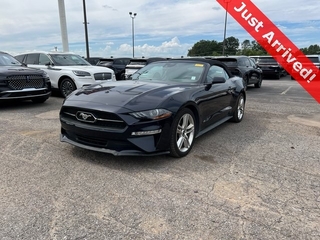 2021 Ford Mustang for sale in Knoxville TN