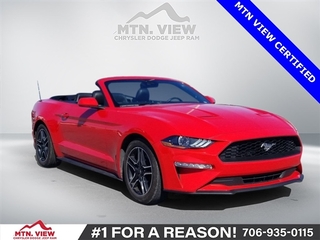 2023 Ford Mustang for sale in Ringold GA