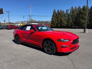 2023 Ford Mustang for sale in Knoxville TN