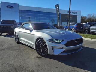 2019 Ford Mustang for sale in Lebanon TN