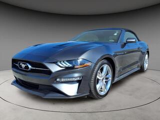 2020 Ford Mustang for sale in Louisville KY