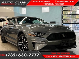 2022 Ford Mustang for sale in Woodbridge NJ