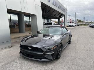 2022 Ford Mustang for sale in Brentwood TN