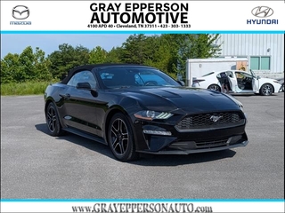 2023 Ford Mustang