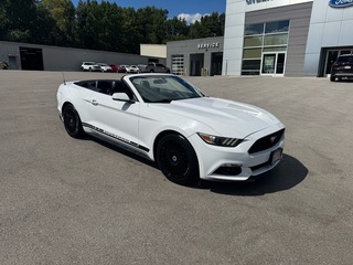 2016 Ford Mustang for sale in Glasgow KY