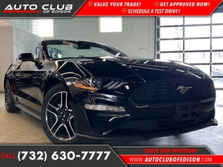 2023 Ford Mustang for sale in Woodbridge NJ