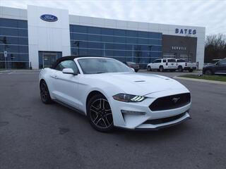 2022 Ford Mustang for sale in Lebanon TN