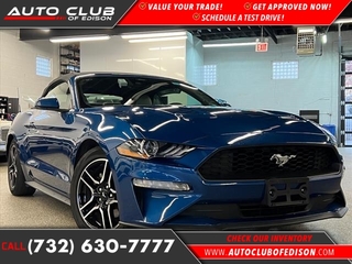 2022 Ford Mustang for sale in Woodbridge NJ