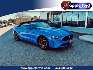 2022 Ford Mustang for sale in Lynchburg VA