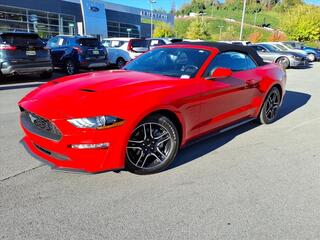 2023 Ford Mustang for sale in Bristol TN