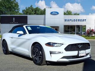 2018 Ford Mustang for sale in Union NJ