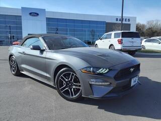 2022 Ford Mustang for sale in Lebanon TN