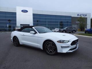 2023 Ford Mustang for sale in Lebanon TN