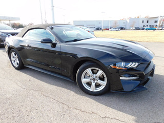 2018 Ford Mustang for sale in Clarksville TN