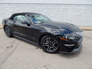 2018 Ford Mustang for sale in Clarksville TN