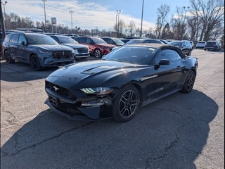 2018 Ford Mustang for sale in Knoxville TN