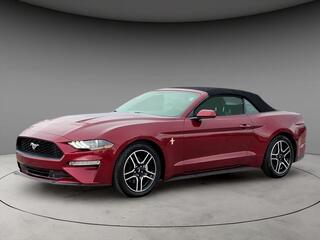 2019 Ford Mustang for sale in Louisville KY