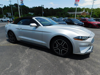 2019 Ford Mustang for sale in Clarksville TN