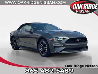 2019 Ford Mustang for sale in Oak Ridge TN