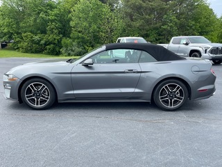 2022 Ford Mustang for sale in Morristown TN