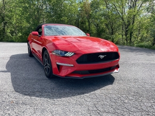 2023 Ford Mustang
