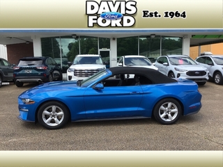 2019 Ford Mustang for sale in Independence MO