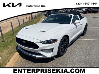 2023 Ford Mustang