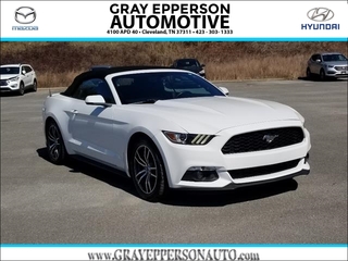 2017 Ford Mustang for sale in Cleveland TN