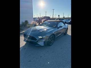 2021 Ford Mustang for sale in Cincinnati OH