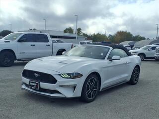 2022 Ford Mustang for sale in Houston TX