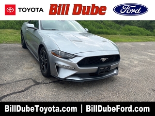 2023 Ford Mustang for sale in Dover NH