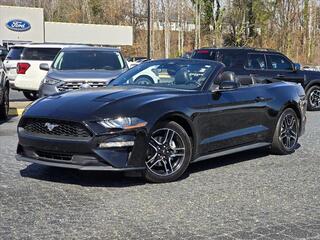 2023 Ford Mustang for sale in Lenoir NC