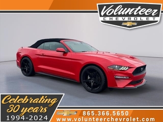 2018 Ford Mustang for sale in Sevierville TN