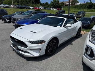 2023 Ford Mustang for sale in Johnson City TN