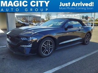 2023 Ford Mustang for sale in Roanoke VA