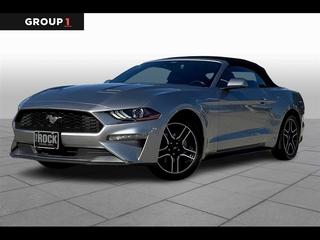 2023 Ford Mustang for sale in Denton TX