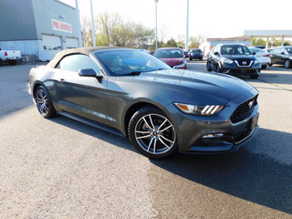 2017 Ford Mustang for sale in Clarksville TN