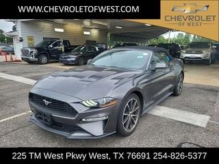 2019 Ford Mustang for sale in West TX