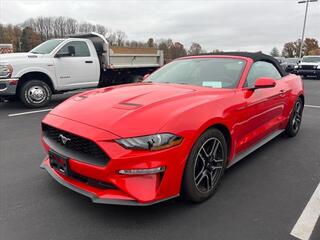 2020 Ford Mustang for sale in Boardman OH