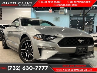 2022 Ford Mustang for sale in Woodbridge NJ