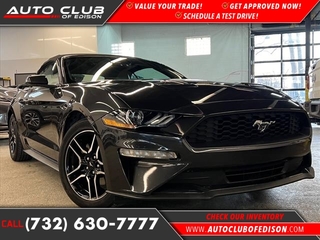 2023 Ford Mustang for sale in Woodbridge NJ