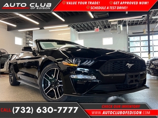 2023 Ford Mustang for sale in Woodbridge NJ