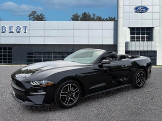 2022 Ford Mustang for sale in Wellesley MA