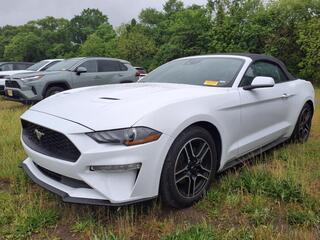 2023 Ford Mustang for sale in Pineville NC