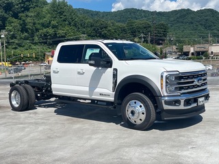 2025 Ford F-450SD for sale in Waynesville NC