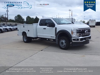 2024 Ford F 550