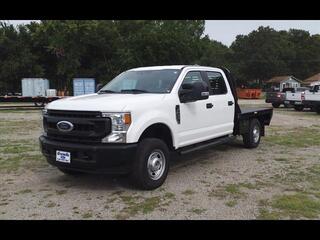 2020 Ford F-250 Super Duty for sale in Stigler OK