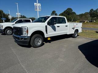 2024 Ford F-250 Super Duty for sale in Cedartown GA