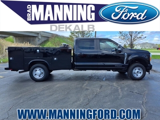 2023 Ford F-350 Super Duty for sale in Des Plaines IL