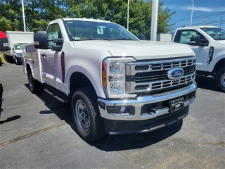 2023 Ford F-350 Super Duty for sale in Honesdale PA